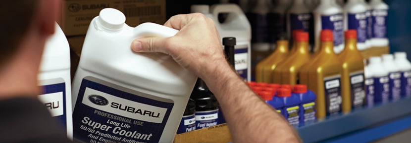 Picture of Subaru Super Coolant. | Thelen Subaru in Bay City MI