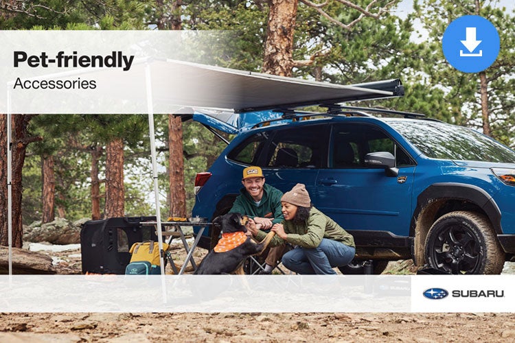 Thelen Subaru in Bay City MI