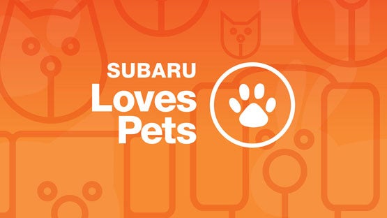 Thelen Subaru in Bay City MI