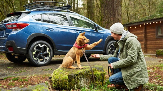 Thelen Subaru in Bay City MI