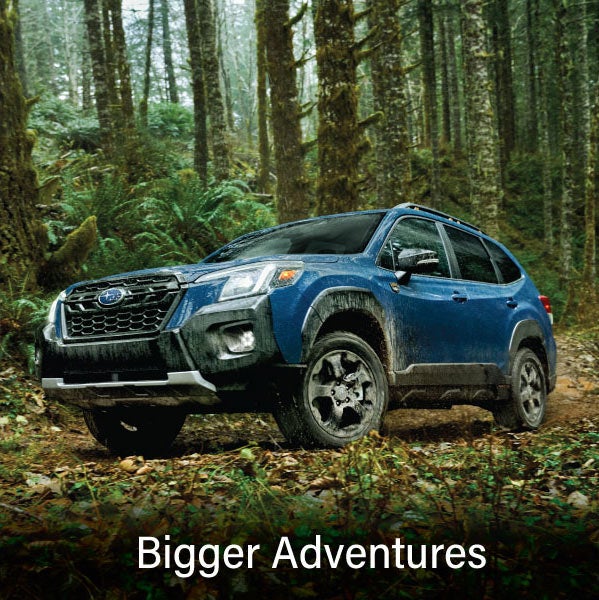 A blue Subaru outback wilderness with the words &ldquo;Bigger Adventures&ldquo;. | Thelen Subaru in Bay City MI