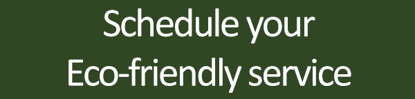 Eco-Friendly Service